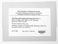 Image Associated With the Occurrence